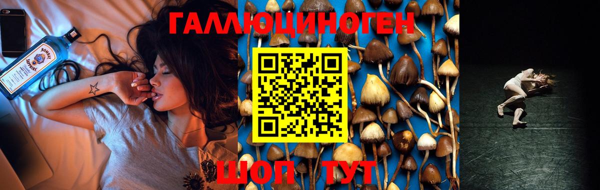 Псилоцибиновые грибы Psilocybine cubensis  Галлюциногенные грибы мицелий  Вход с VPN  Грязи 